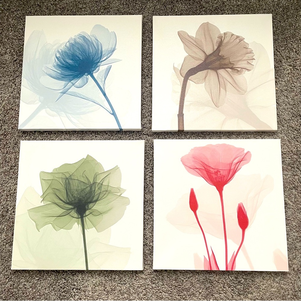 Set of 4 wooden framed canvas floral prints. Each print 12x12